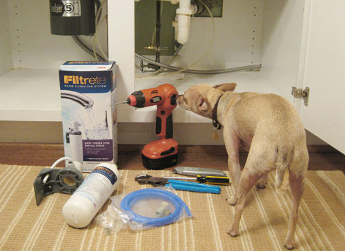 Домашние животные и ремонт