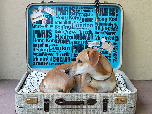 Дайте жизнь старым чемоданам!