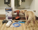 Домашние животные и ремонт