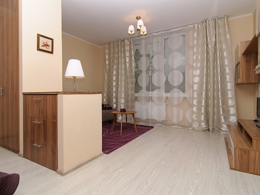 1-но комнатная квартира (44.10 m²)