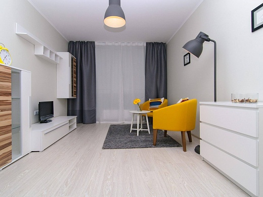 1-но комнатная квартира (41.90 m²)